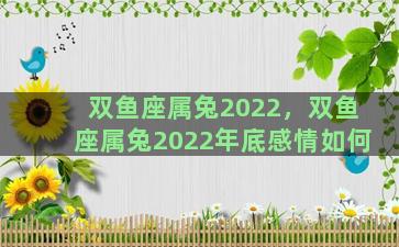 双鱼座属兔2022，双鱼座属兔2022年底感情如何